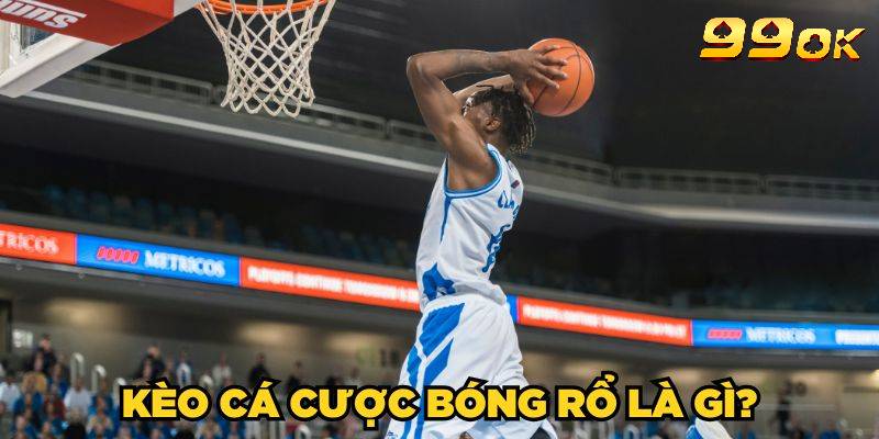 Cá cược bóng rổ là gì?