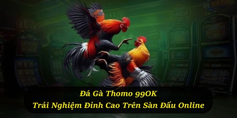 Đá Gà Thomo 99OK – Trải Nghiệm Đỉnh Cao Trên Sàn Đấu Online