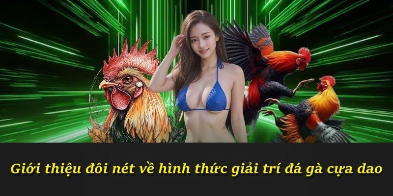 Giới thiệu đôi nét về hình thức giải trí đá gà cựa dao