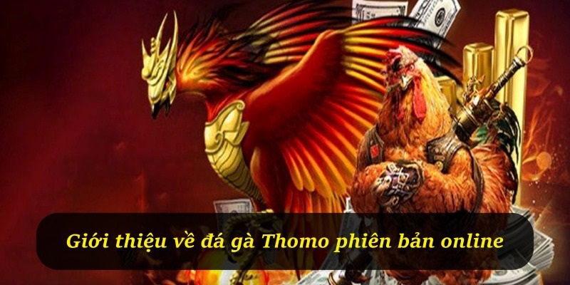 Giới thiệu về đá gà Thomo phiên bản online