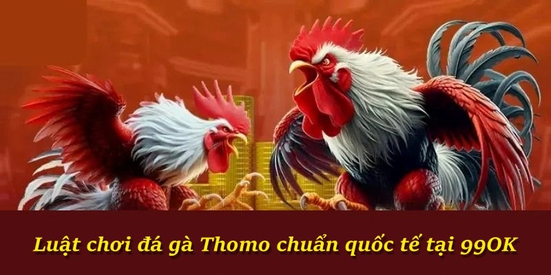 Luật chơi đá gà Thomo chuẩn quốc tế tại 99OK