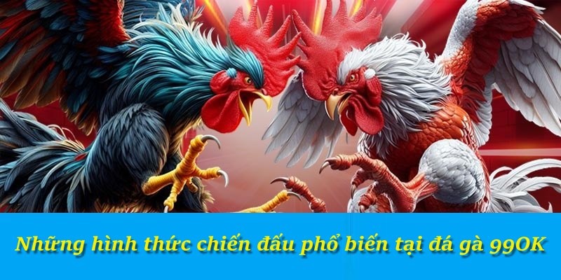 Những hình thức chiến đấu phổ biến tại đá gà 99OK