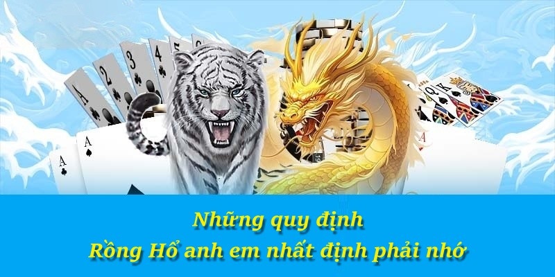 Những quy định Rồng Hổ anh em nhất định phải nhớ