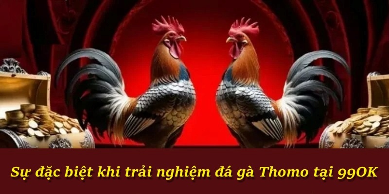 Sự đặc biệt khi trải nghiệm đá gà Thomo tại 99OK