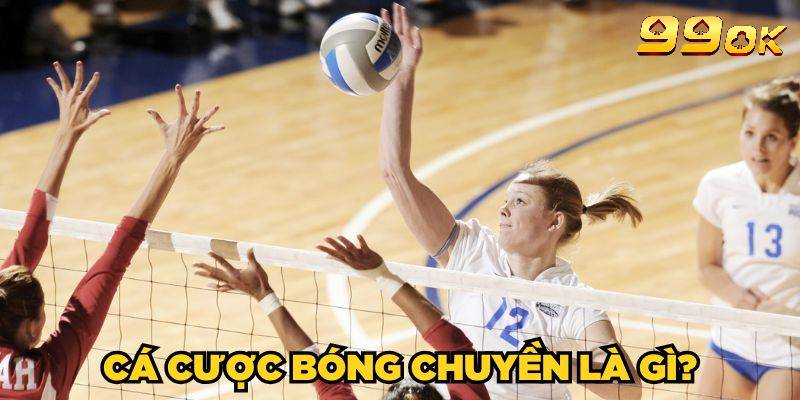 Tổng quan thông tin sơ lược về cá cược bóng chuyền 99OK